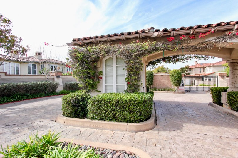 Blackhorse La Jolla CA